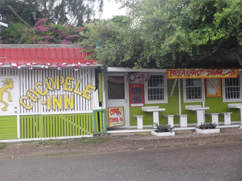 Cocopele Inn San Ignacio Eksteriør billede